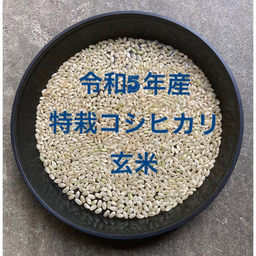 新米入荷！令和5年産「丹後産コシヒカリ」玄米30㎏　送料・標準精米無料サービス！-