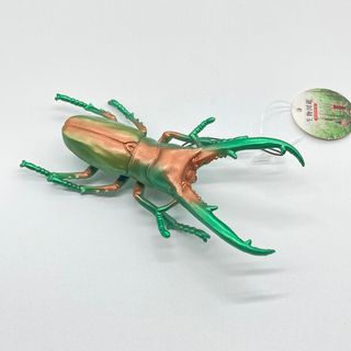 生物図鑑リアルカブトクワガタ　エラフスホソアカクワガタ(その他)