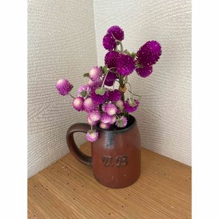 千日紅　ドライ　ドライフラワー　花材(ドライフラワー)