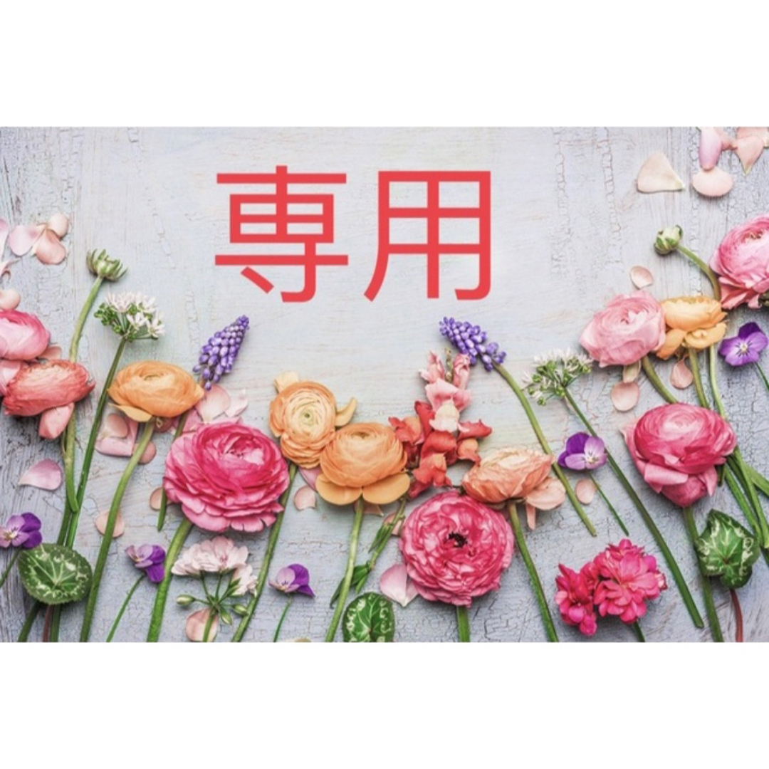 のりさま 専用