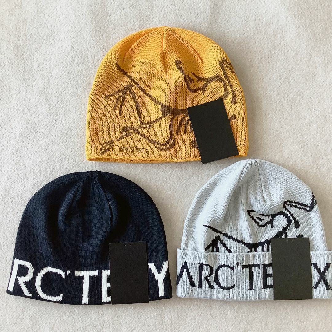 新品☆アークテリクス Bird Word Toque ニット帽 ビーニー ロゴ