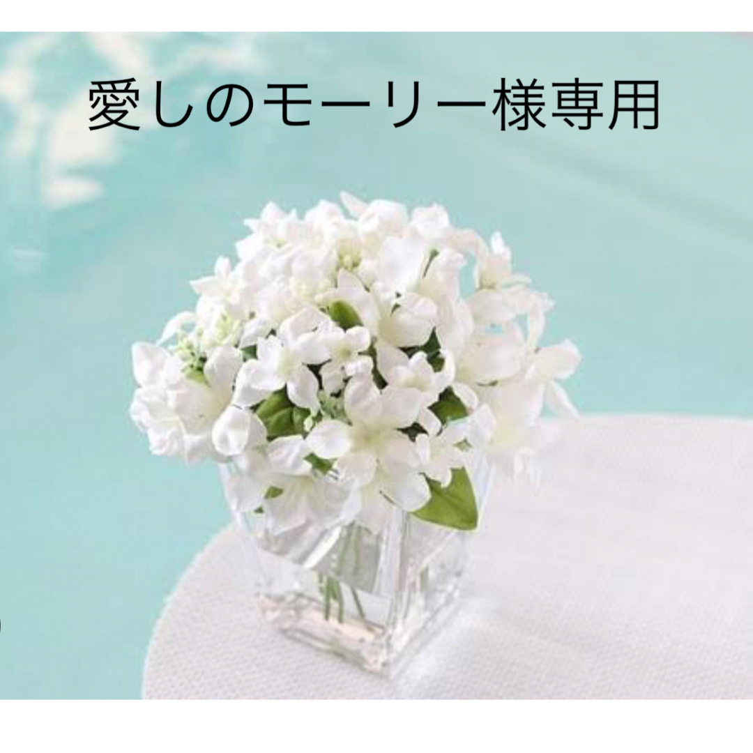 愛しのモーリー様専用の通販 by ローズ's shop|ラクマ