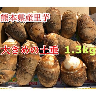 ふっくら里芋1.3kg(野菜)