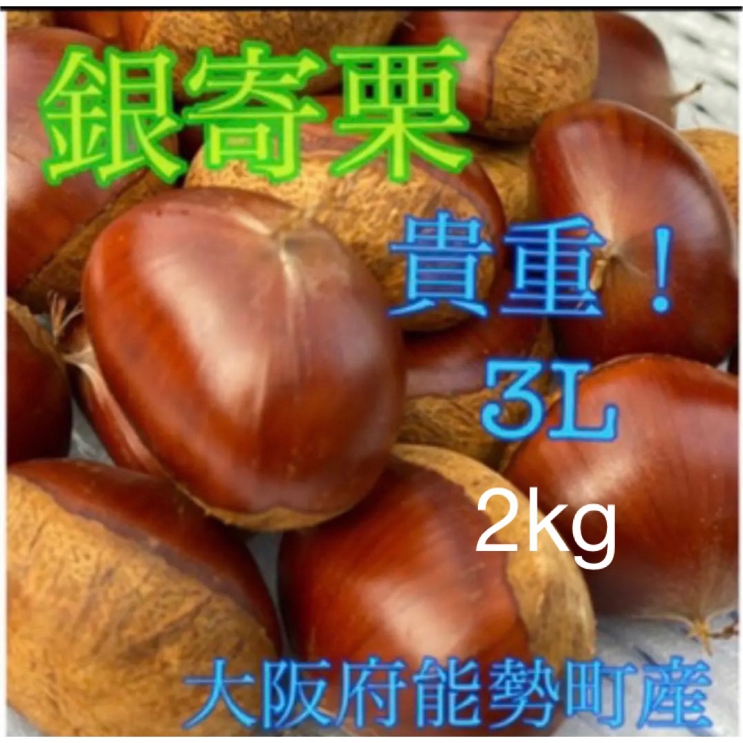 銀寄栗銀寄栗　3L 2kg