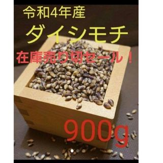 令和4年産　ダイシモチ　玄麦(その他)