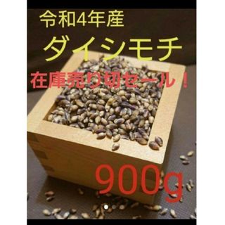 令和4年産　ダイシモチ　玄麦(米/穀物)