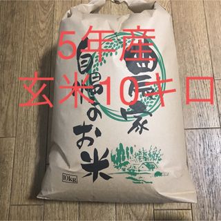 5年産コシヒカリ玄米10キロ減農薬(米/穀物)