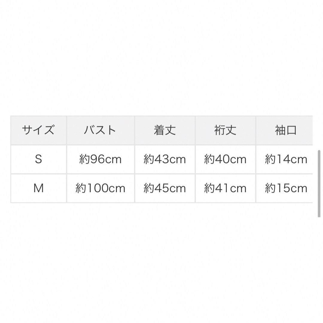 MAJESTIC LEGON(マジェスティックレゴン)のマジェスティックレゴン／オフショルダー レディースのトップス(シャツ/ブラウス(半袖/袖なし))の商品写真