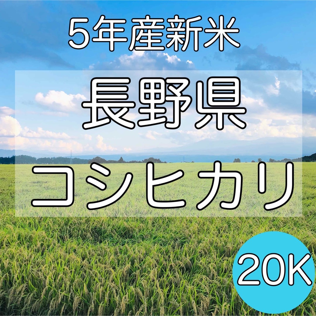 令和5年産】長野県コシヒカリ20キロ白米　米/穀物