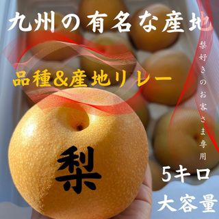 九州産　あま〜い　梨　大容量5キロ　九州の産地&品種リレーお届け(フルーツ)