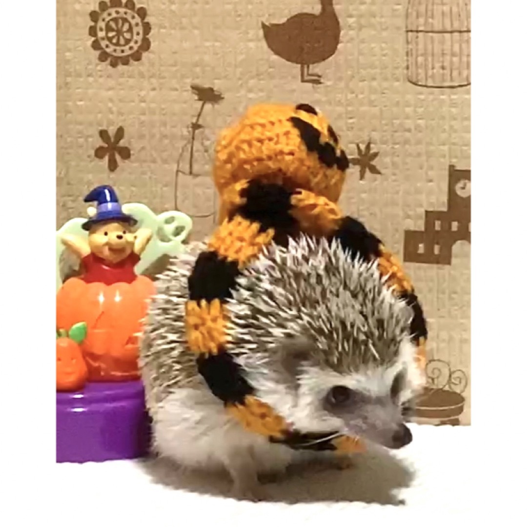 ハロウィンカボチャ🎃のボンボン付き マフラー　（ハリネズミ、小動物用） その他のペット用品(小動物)の商品写真