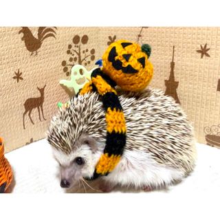 ハロウィンカボチャ🎃のボンボン付き マフラー　（ハリネズミ、小動物用）(小動物)