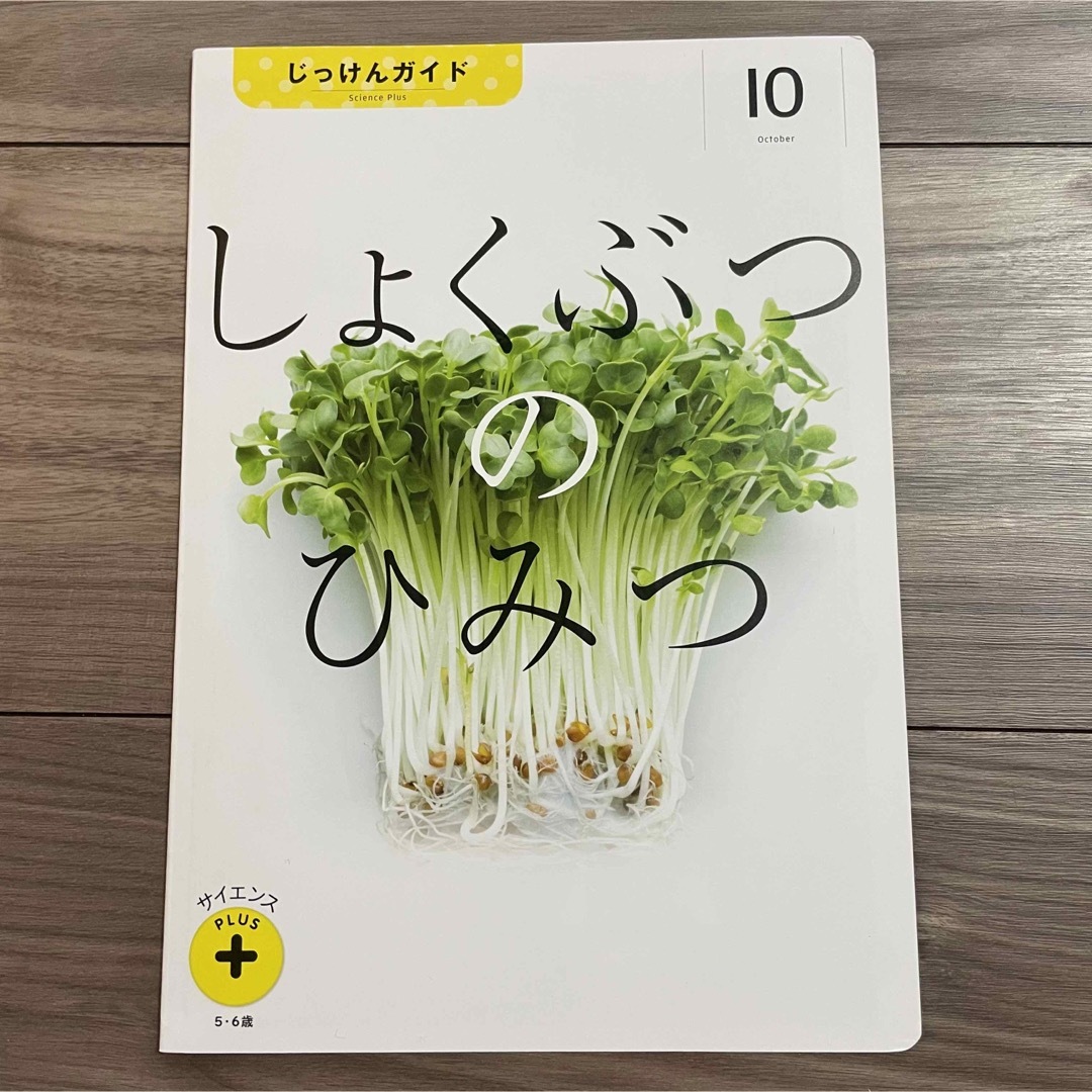 Benesse(ベネッセ)のこどもちゃれんじサイエンスプラス　5.6歳年長) 10月号「しょくぶつのひみつ」 キッズ/ベビー/マタニティのおもちゃ(知育玩具)の商品写真