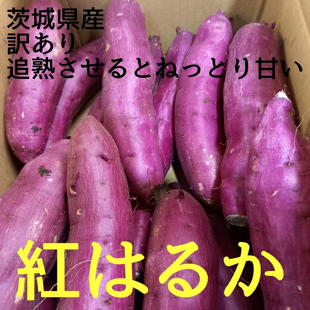 サツマイモ 紅はるか家庭用Sサイズ茨城産15㌔+土付減農薬栽培安納芋以上の甘さ
