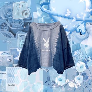 プレイボーイ(PLAYBOY)のプレイボーイ Tシャツ(Tシャツ(半袖/袖なし))