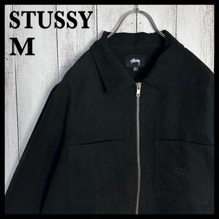 ステューシー 古着 ブルゾン(メンズ)の通販 100点以上 | STUSSYの