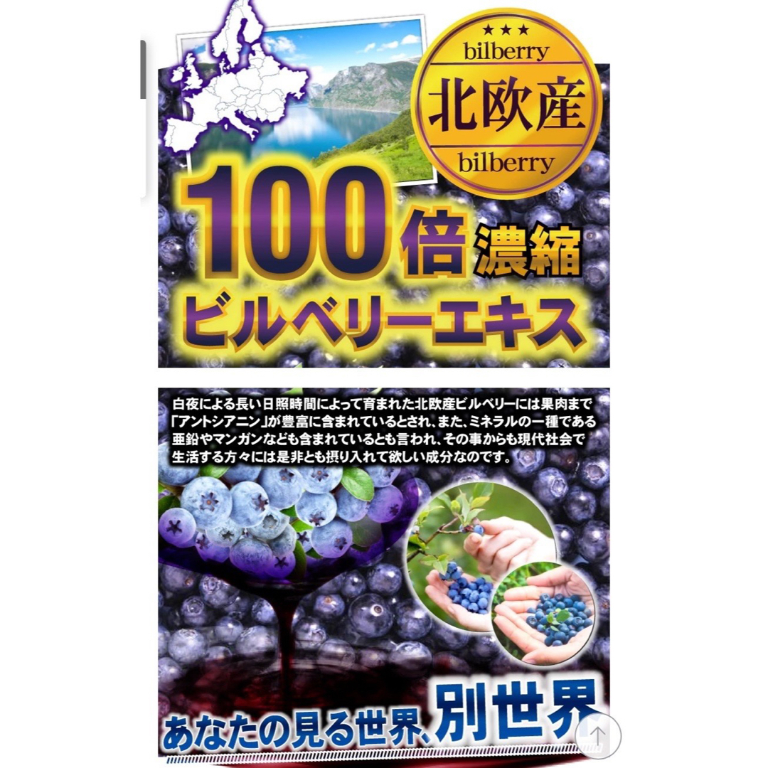 ビルベリー & ルテイン +コンドロイチン、アサイー、ビタミン、カシス　6ヶ月分 食品/飲料/酒の加工食品(その他)の商品写真