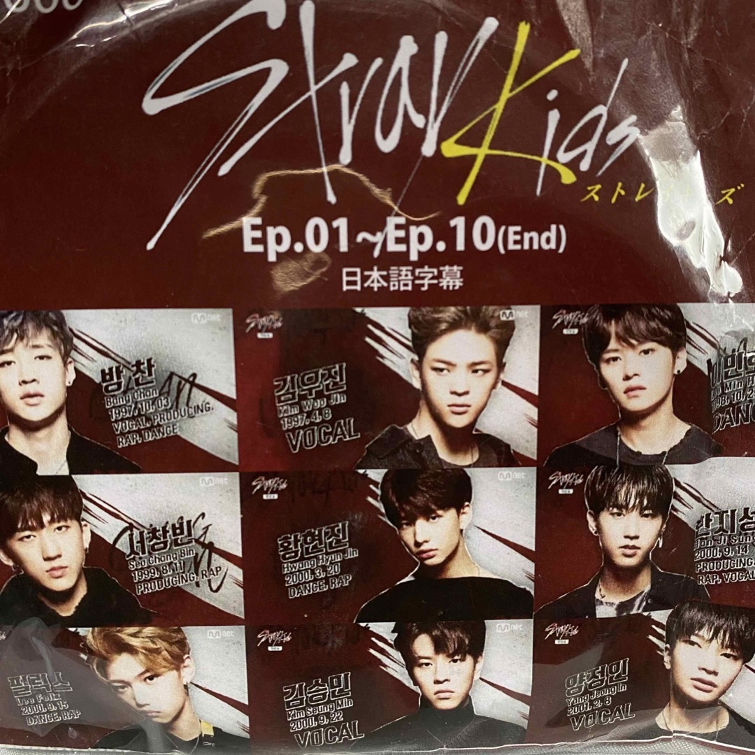 Straykids ストレイキッズ サバイバルオーディション