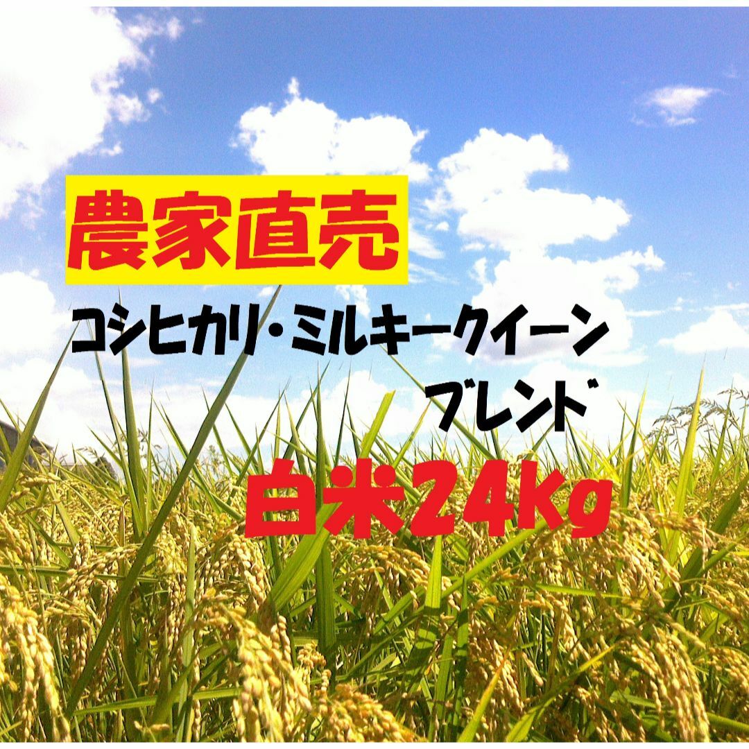 1月8日発送新米地元産100%こしひかり主体(複数米訳あり10キロ×2袋送込