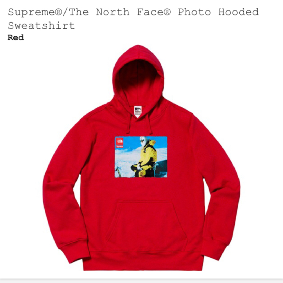 Supreme The North Face Photo Hooded