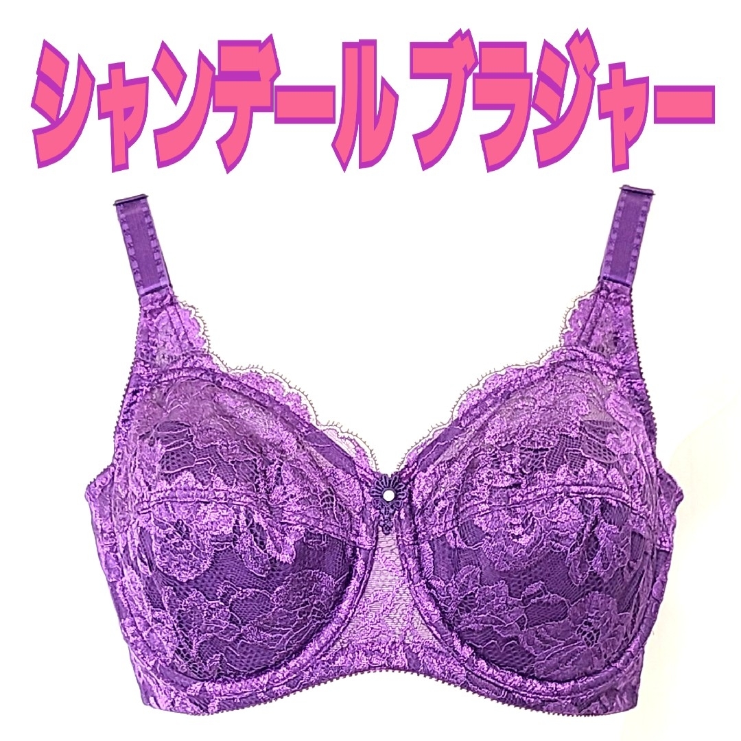 シャンデールピエゾメッシュベルブラジャー シャンデールピエゾメッシュベルブラジャー
