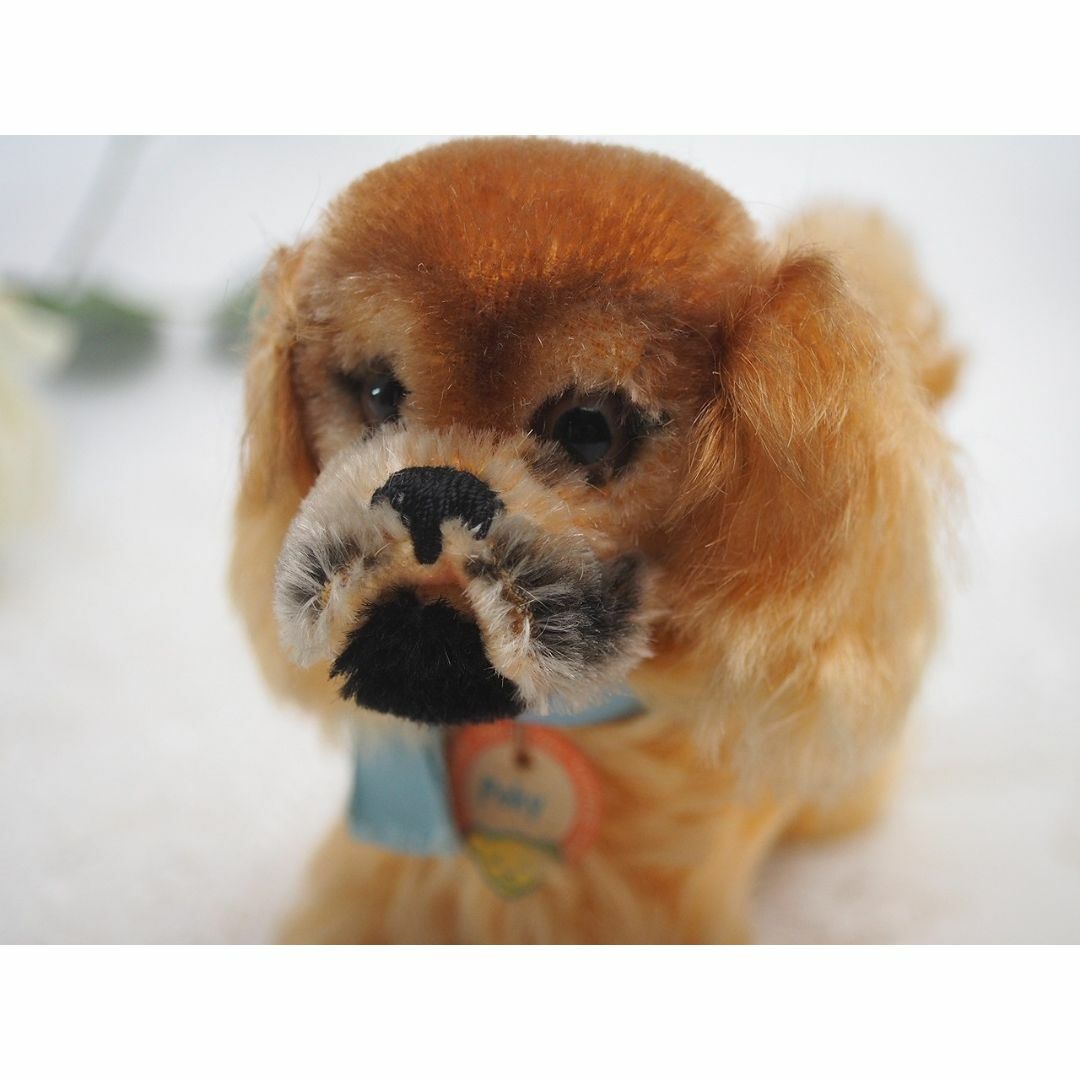 シュタイフ★Pekinese Peky 10cm オールID's完品★ペキニーズ 4