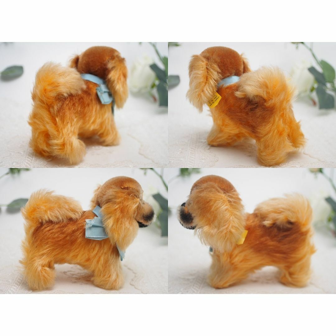 シュタイフ★Pekinese Peky 10cm オールID's完品★ペキニーズ 8