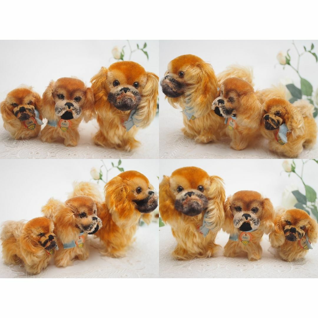 シュタイフ★Pekinese Peky 10cm オールID's完品★ペキニーズ 9