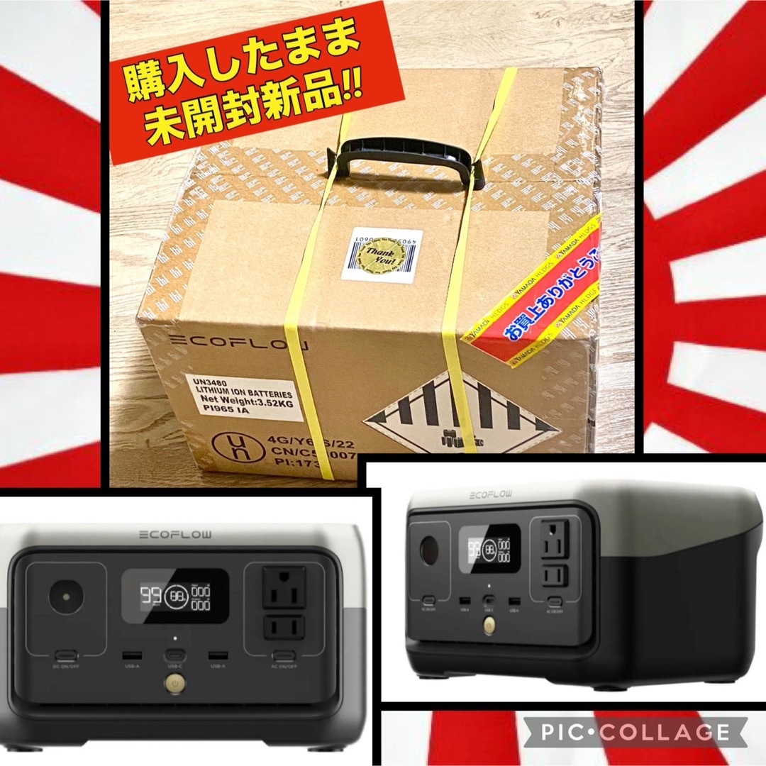 EcoFlow ポータブル電源 RIVER 2 容量256Wh 定格出力300W-