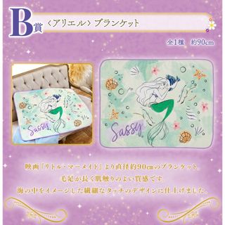 ディズニー(Disney)のプリンセス 一番くじ B賞 ブランケット(キャラクターグッズ)