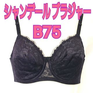 シャンデール エレガント ブラジャー B75(ブラ)