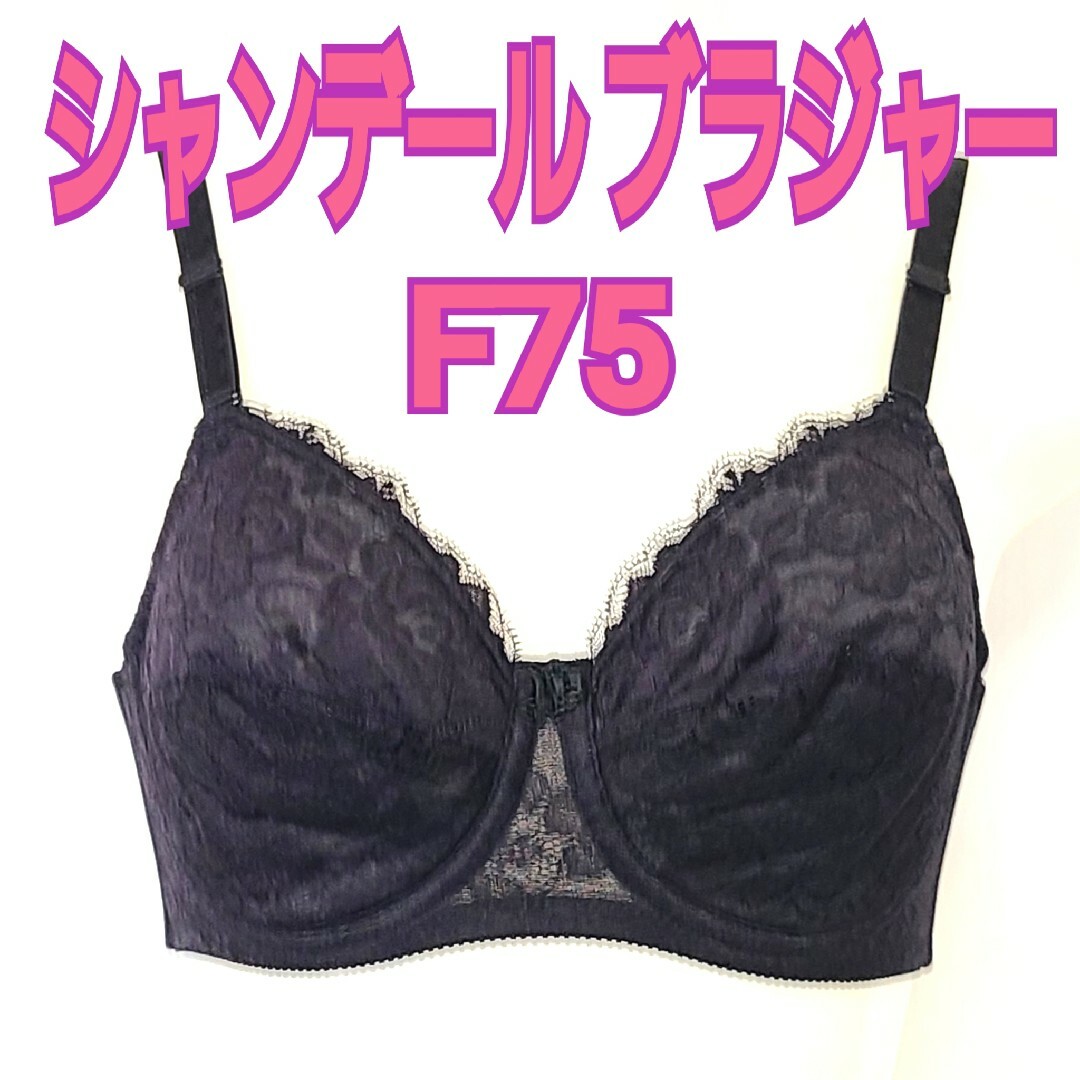 シャンデール エレガント ブラジャー F75