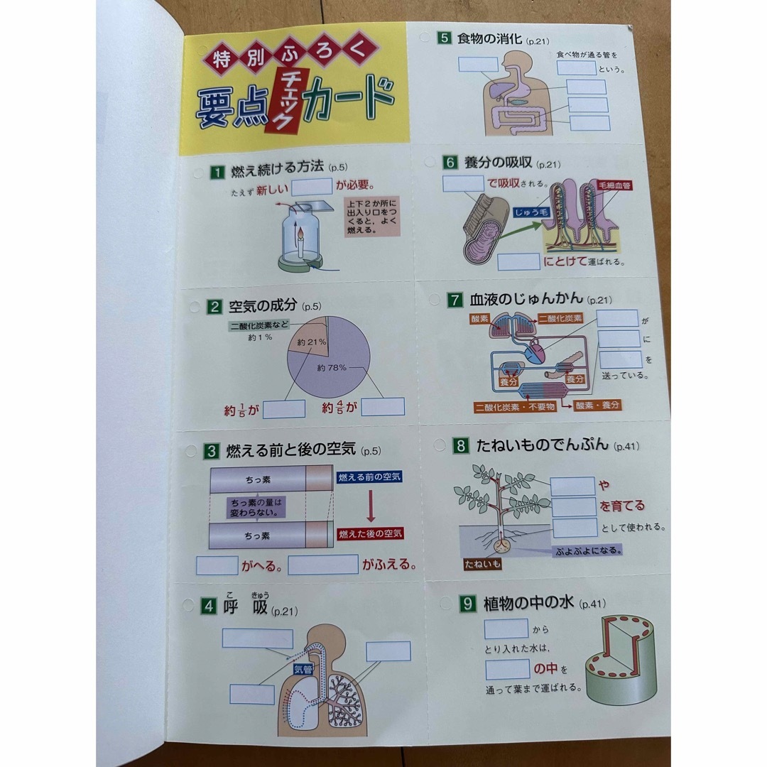 これでわかる理科小学６年 エンタメ/ホビーの本(語学/参考書)の商品写真