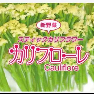 野菜のタネ　カリフローレ（カリフラワー）　イタリアの珍しい種 10個(野菜)