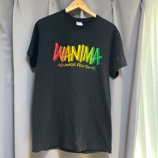 ワニマ(WANIMA)のWANIMA Tシャツ　ライブTシャツ　Everybody tour 2018(ミュージシャン)