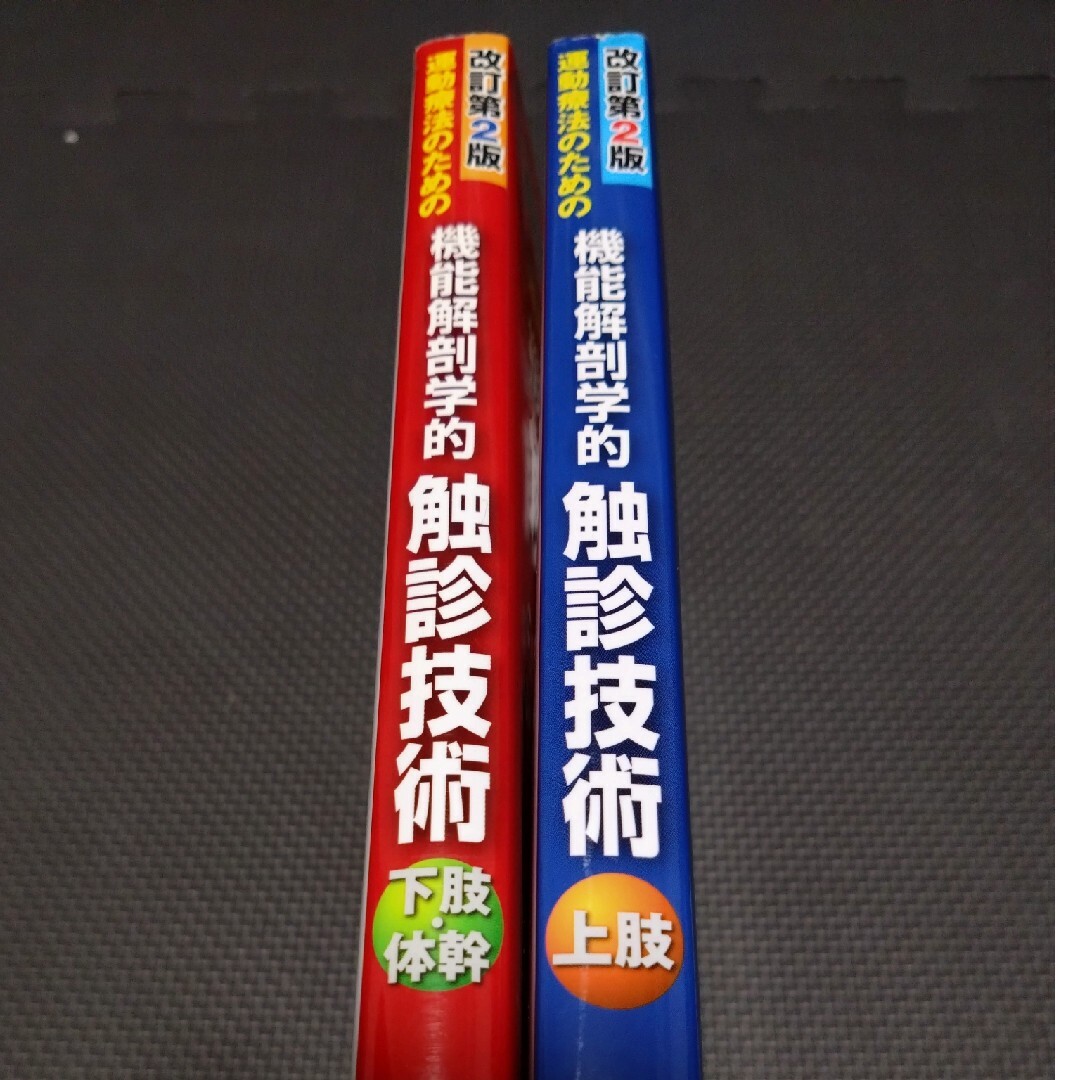 機能解剖学的触診技術 理学療法士 作業療法士 リハ国家試験実習必見 教科書 参考 8