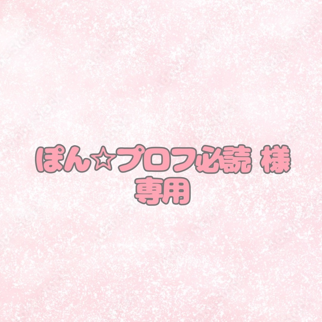 プロフ必読】きむぽん様専用です-