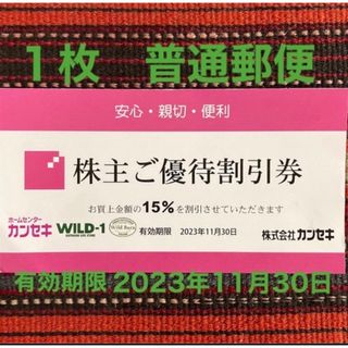 スノーピーク(Snow Peak)のカンセキ優待割引券  有効期限2023/11/30   1枚(その他)