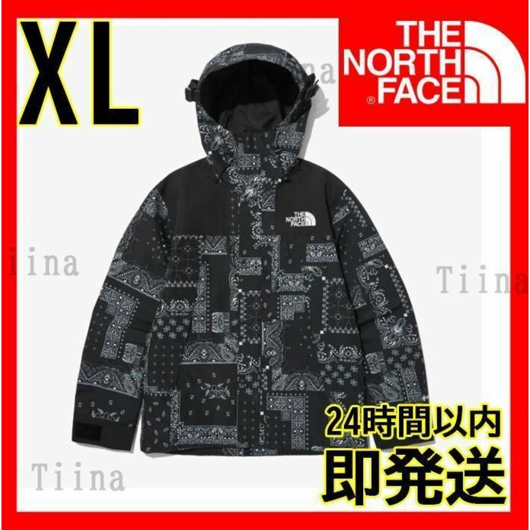 XL 新品 韓国 ノースフェイス マウンテンジャケット ゴアテックス ペイズリー