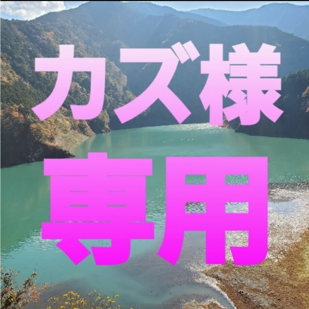 カズ様専用の通販 by ☺️'s shop|ラクマ