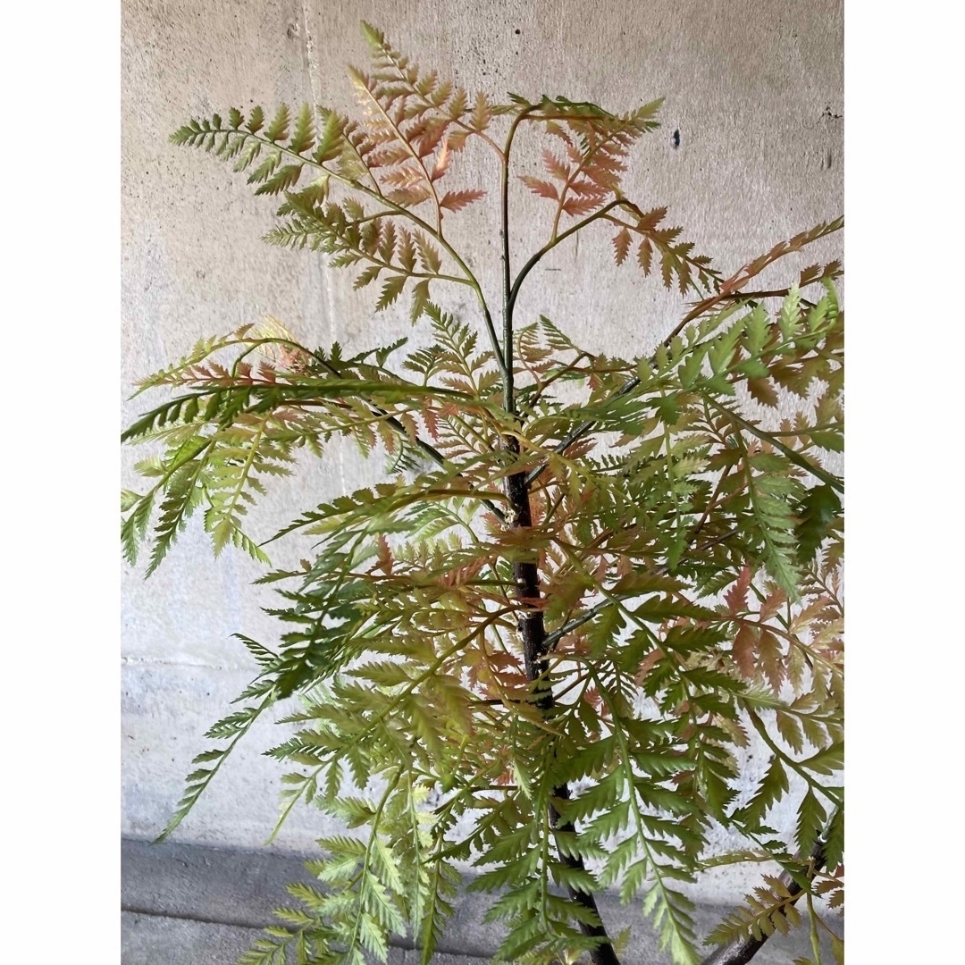 光触媒 人工観葉植物 ウォールグリーン フェイクグリーン 光触媒 人工観葉植物 ウォールグリーン フェイクグリーン