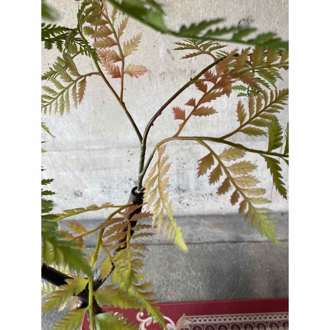 光触媒 人工観葉植物 ウォールグリーン フェイクグリーン 光触媒 人工観葉植物 ウォールグリーン フェイクグリーン
