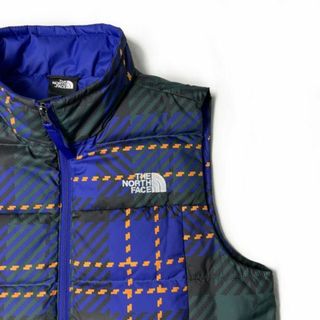 THE NORTH FACE - ノースフェイス ダウンベスト US限定(M)青 緑