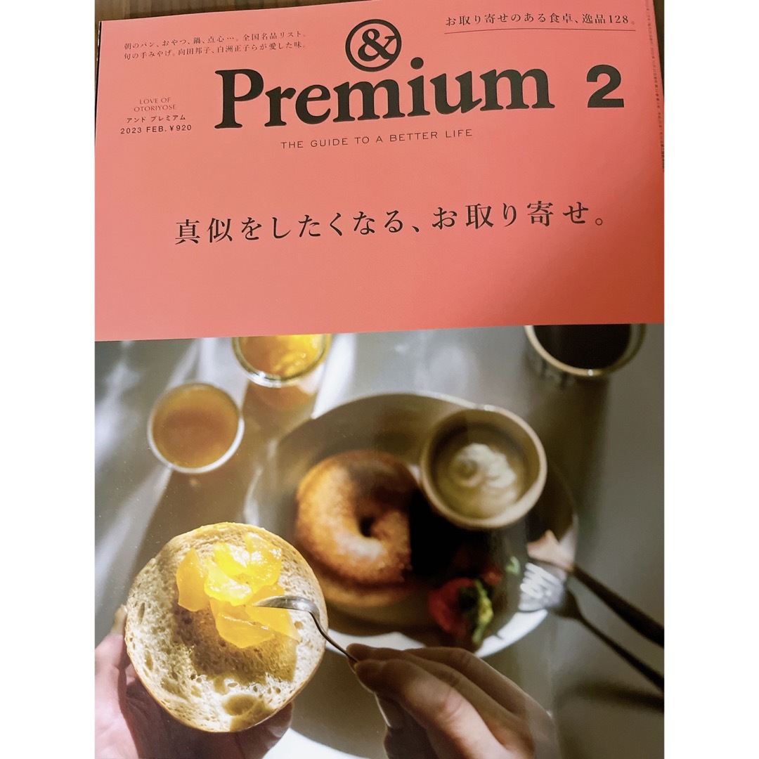 マガジンハウス(マガジンハウス)の&Premium (アンド プレミアム) 2023年 02月号 エンタメ/ホビーの雑誌(その他)の商品写真