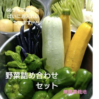 野菜詰め合わせセット　無農薬野菜（60サイズ(野菜)