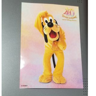 Disney(写真)のフリマアイテム一覧 Disney(写真)のフリマアイテム一覧