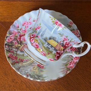 ロイヤルアルバート(ROYAL ALBERT)の【希少品】ロイヤルアルバート★ローズコテージ★C/S(食器)