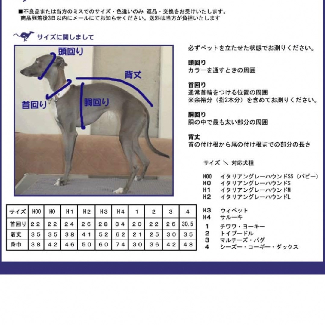 イタグレ スノースーツ グラインドッグ【最終値下げ】-