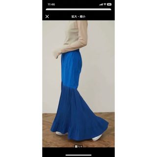 ヘリンドットサイ(HeRIN.CYE)のHeRIN.CYE スカート　Pleated hem SK(ロングスカート)