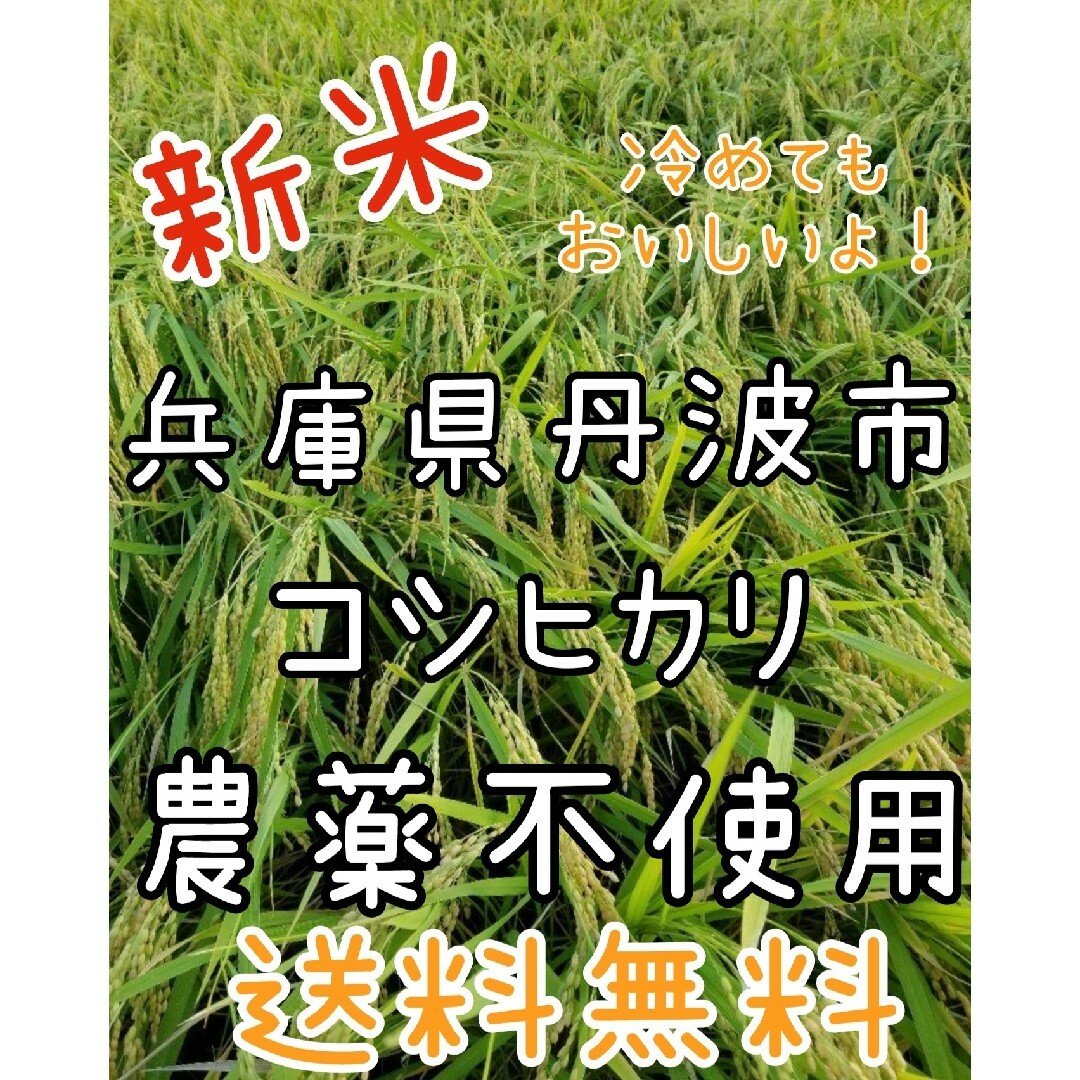 令和5年　兵庫県丹波産 農薬、除草剤不使用　新米コシヒカリ20キロ